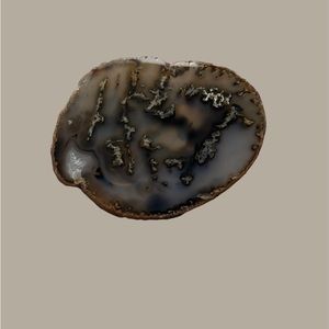 Belt Buckle ( geode slice)